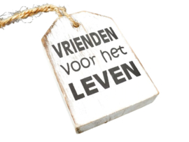 Houten Huisje hanger met tekst "vrienden voor het leven " Antique white