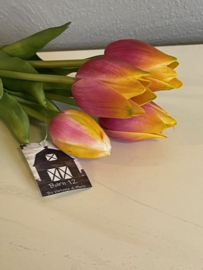Tulpen Real Toch tulip Esmee 7 stelen 25 cm