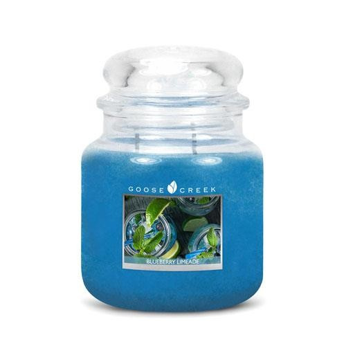 Goose Creek Candle Medium Jar 16 oz De Duizendpoot voor al uw Huisparfums en