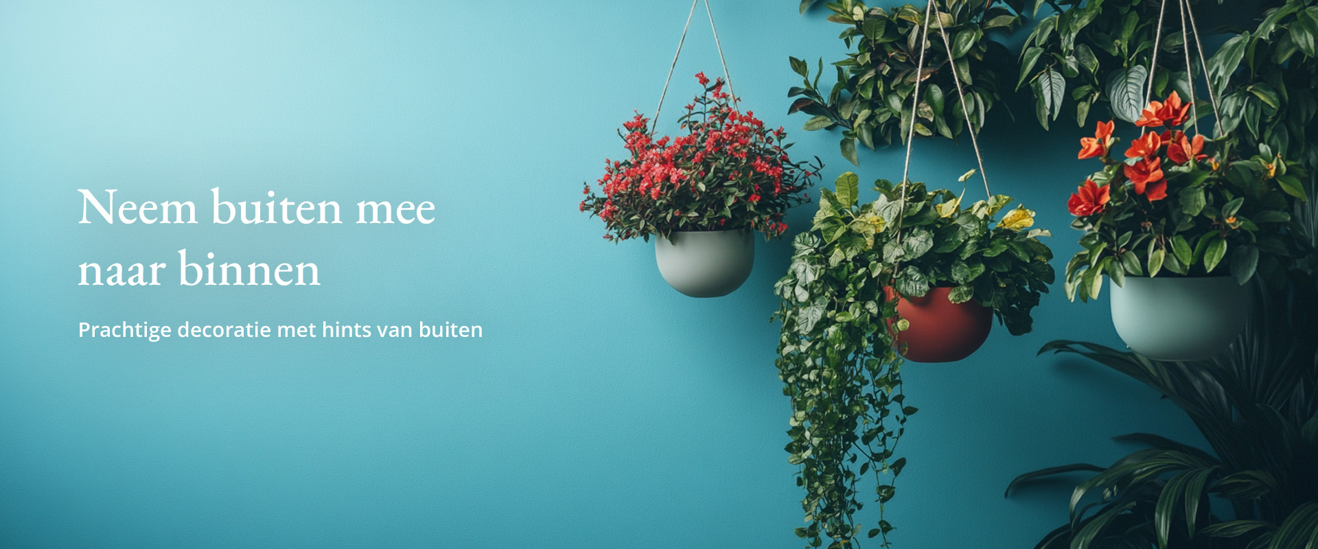 Tuin & Buiten