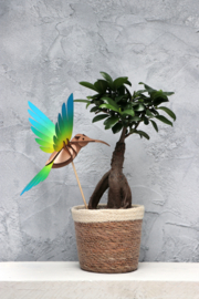 Assembli 3D Hummingbird (3 kleuren)