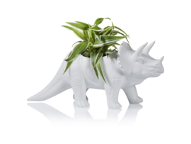 Dinosaurus plantenpot triceratops
