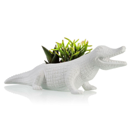 Krokodil plantenpot