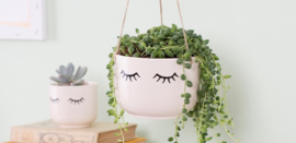 Mini plantenpot ogen