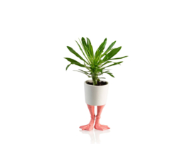 Flamingo feet planter S