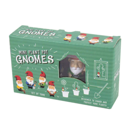 Mini garden gnomes