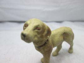 Hond Dog
