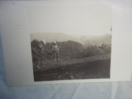 Postkaart foto regiment chasseur de Afrique.Koloniale soldaat met tropenhelm.