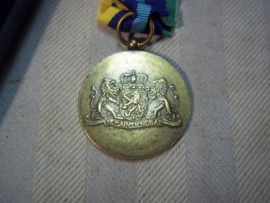 Nederlandse marine medaille in doos met baton.