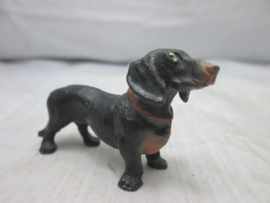 Hond Dog zwarte tekkel.