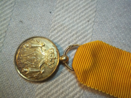 Nederlandse miniatuur medaille  Trouwe Dienst, met W gemerkt in het ringetje verguld of goud.