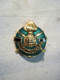 Dutch former commando badge. Nederlands brever Ex- commando, kikkertje