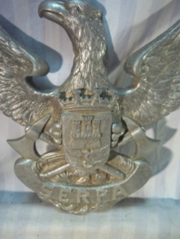 Firebrigade door badge Portugal for the fire engine. Brandweerembleem Portugeese brandweer zat op de deur van de brandweer auto zeer apart