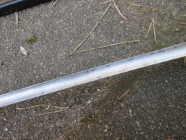 Dutch sword. Nederlands staten degen, voor bestuursleden zoals burgemeesters en leden Staten-Generaal, met het Je Maintendrai logo, vuurverguld met etsing, parlemoeren handvat. decoratief stuk.
