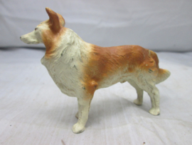 Lassie hond DOG