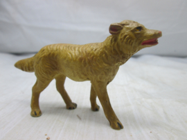 Hond Dog