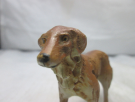 Hond Dog