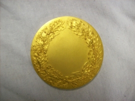 French medal in case Militair Francais, gilded.Franse penning met dragonder, vuurverguld in doos ZELDZAAM