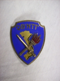 Franse borstzakhanger embleem, breloque badge, QDNTT Vietnam