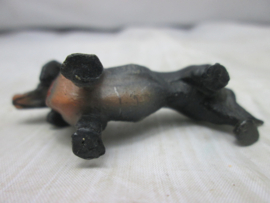 Hond Dog zwarte tekkel.