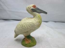 Watervogel soort van pelikaan