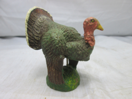Kalkoen Turkey