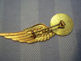 Dutch Navy Air Force wing SILVER. Nederlandse wing MLD Marine Luchtvaart Dienst, zilver gemerkt