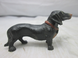 Hond Dog zwarte tekkel.