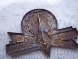 German tinnie, rally badge, Duitse tinnie, Sportfest HJ Hitler- Jugend -- Bann  und Jungbann 318, rare tinnie, zeldzaam. met Dienstkarte der Hitler-Jugend.