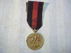 German anschluss 1-10-38 medal. Duitse 1 oktober 1938 medaille