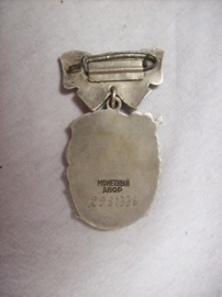 Russian medal for the mothers. Russische medaille voor de Moeders.