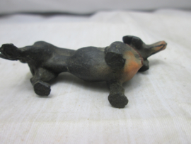 Hond Dog zwarte tekkel.