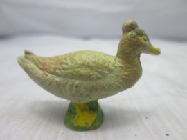 Kuif eend duck