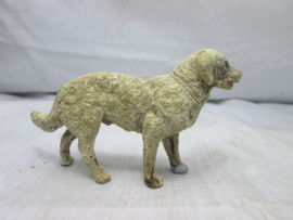Hond dog.