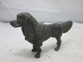 Hond Dog.