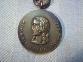 Rumanian service medal also worn by german soldiers. Roemeense service medaille 1941 ook gedragen door Duitse soldaten.