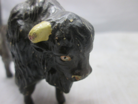 Buffel met hoorns.