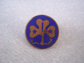Scouting, pin badge. padvinders speld.