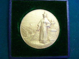 French medal in case Militair Francais, gilded.Franse penning met dragonder, vuurverguld in doos ZELDZAAM