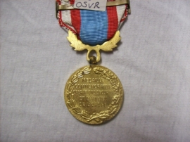French medal MOYEN ORIENT. Franse medaille voor de ordehandhaving en beveiliging.