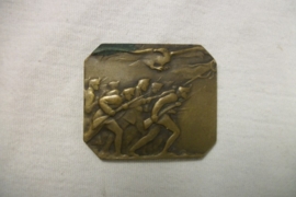 Austrian badge. Oostenrijkse penning met soldaten en adelaar, onbekend waarom hij is uitgegeven