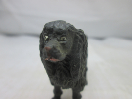 Hond Dog.
