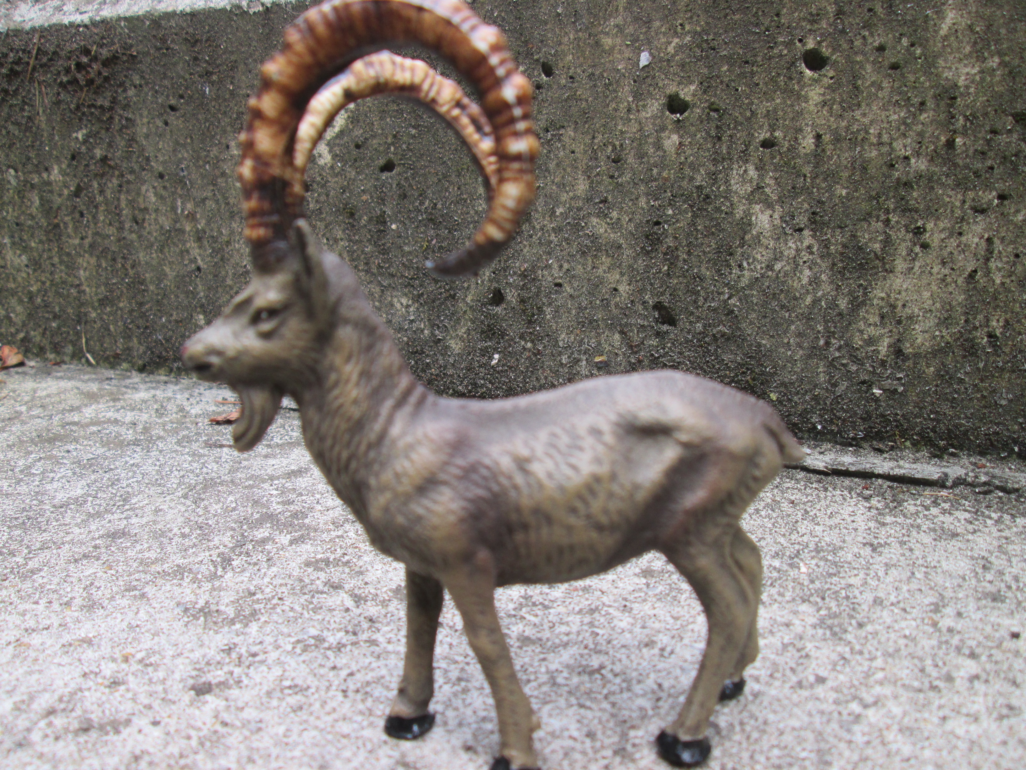 Elastolin mountain goat, chamois. Elastolin Berggeit gems met hele grote hoorns TOP staat zeldzaam stuk.
