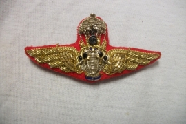 Para Wing Siam officer