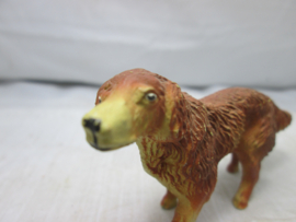 Hond Dog