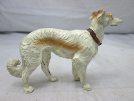 Windhond, Dog.