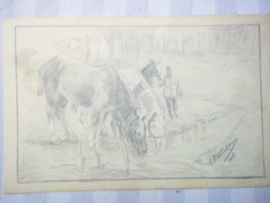 6 andere schetsen gemaakt op papier door de kunstenaar VENNEKENS, verpleegster, dokter en militaire afbeeldingen, 1 met hoogstwaarschijnlijk daarop afgebeeld de Belgische koning allen zeer decoratief, mooi document.