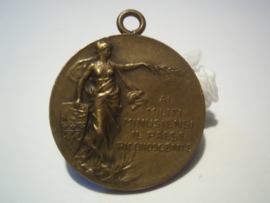 Swiss medal 1914-1918, Zwitserse mobilisatie medaille
