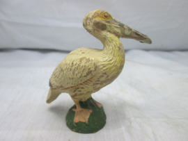 Watervogel, pelikaan.