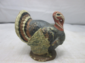 Kalkoen Turkey.